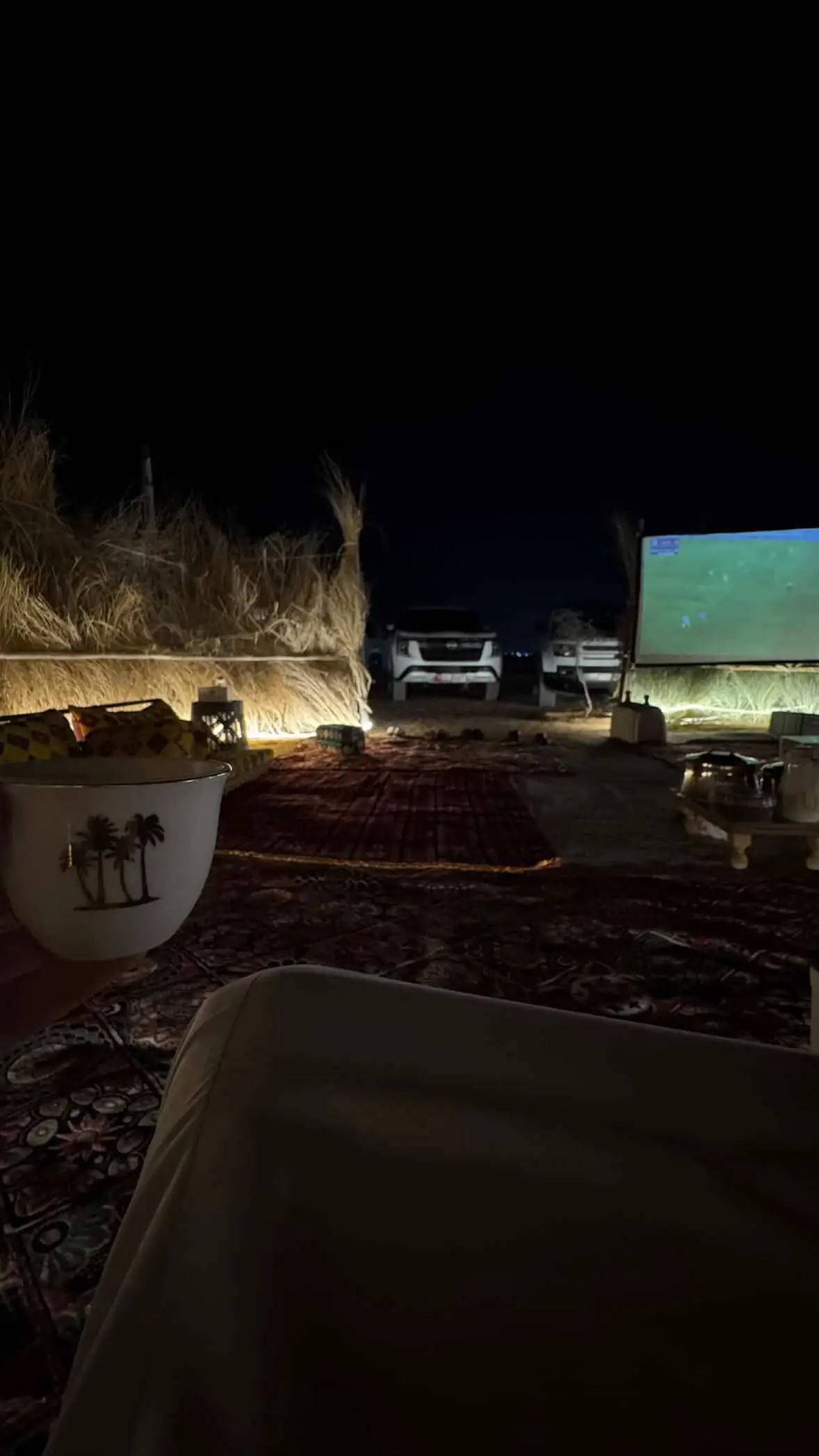 ‏ #4u    |   #viral    |   #fyp 