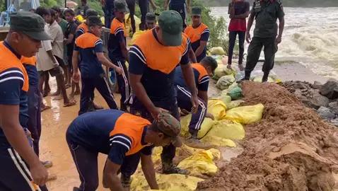 #creatorsearchinsights #viralvideo 