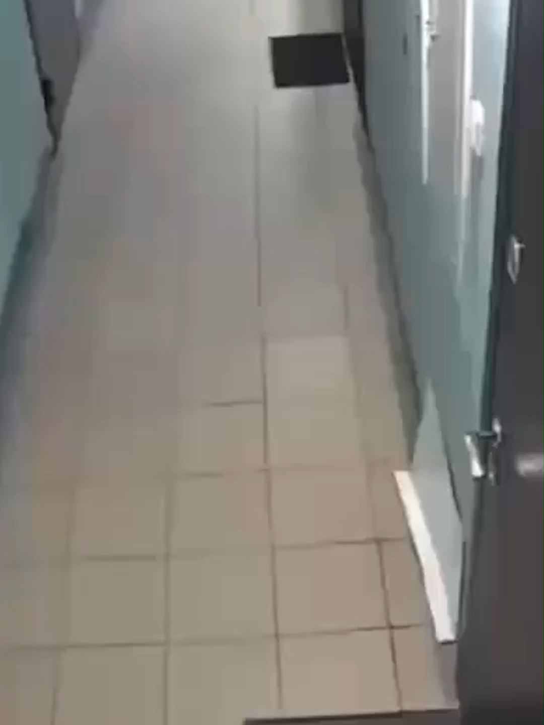 СОБАКА Случайно Уничтожила Квартиру