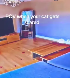 #VozDosCriadores #screammovie #funny #fyp 