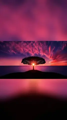 ከዛ ሰፈር ታምራት ደስታ #foryoupage #fyp #ethiopian_tik_tok #foryou #viral 