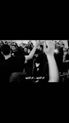 #سيدفاقدالموسوي #متعبينك_سد_عينكك😔🤎 #خدام_الامام_الحسين_عليه_السلام #ياحسين #بغداد_بصرة_موصل_الكويت_الخليج_دبي_ 