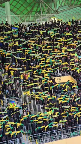 #ultrakabylieboys💛💚 