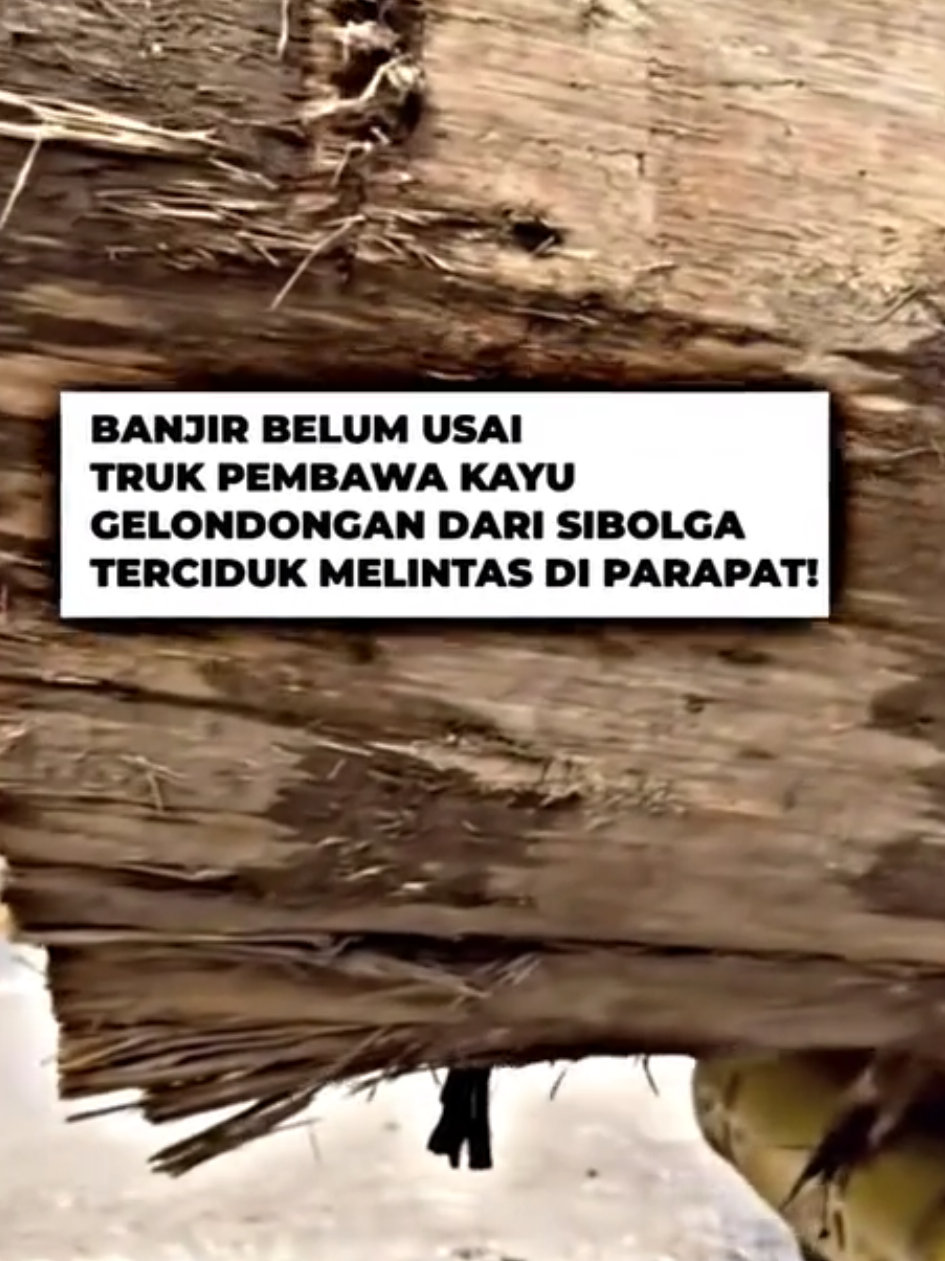 keterangan 🥲👇 Sebuah mobil berukuran besar terlihat mengangkut kayu gelondongan berdiameter sangat besar melintas di Jalan Parapat, depan SPBU, Sabtu (28/11/25). Kayu-kayu ini disebut berasal dari kawasan hutan di Sibolga-Tapteng, Sumatera Utara, daerah yang baru saja dilanda banjir besar. Pemandangan ini memicu keprihatinan warga, mengingat duka akibat bencana belum sepenuhnya usai. 
