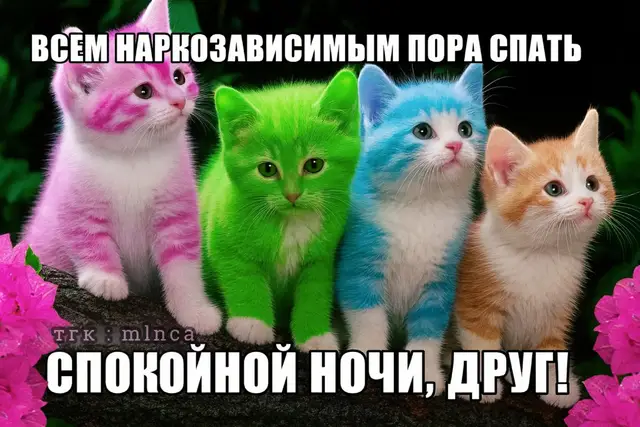 Друг - это человек, с которым устанавливается добровольная, устойчивая и значимая связь, основанная на доверии, симпатии и взаимной поддержке. Это не просто приятель или знакомый, а тот, кто занимает особое место в жизни, чьи слова и действия имеют личную ценность. Друг — это человек, с которым можно быть собой без страха быть осуждённым, с кем разделяют радости, трудности, планы и тайны. Такая связь формируется через совместный опыт, искреннее участие, уважение границ и способность заботиться друг о друге. В более широком смысле друг — это опора, человек, который помогает сохранять эмоциональное равновесие, вдохновляет, сопереживает, может мягко направить, напомнить о важном и поддержать в моменты уязвимости. Он не обязательно постоянно рядом, но его присутствие ощущается как надёжность и тепло, а отношения с ним строятся на взаимности, а не на выгоде. Друг — это человек, с которым устанавливается добровольная, устойчивая и значимая связь, основанная на доверии, симпатии и взаимной поддержке. Это не просто приятель или знакомый, а тот, кто занимает особое место в жизни, чьи слова и действия имеют личную ценность. Друг — это человек, с которым можно быть собой без страха быть осуждённым, с кем разделяют радости, трудности, планы и тайны. Такая связь формируется через совместный опыт, искреннее участие, уважение границ и способность заботиться друг о друге. В более широком смысле друг — это опора, человек, который помогает сохранять эмоциональное равновесие, вдохновляет, сопереживает, может мягко направить, напомнить о важном и поддержать в моменты уязвимости. Он не обязательно постоянно рядом, но его присутствие ощущается как надёжность и тепло, а отношения с ним строятся на взаимности, а не на выгоде.