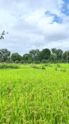 #❤️❤️❤️❤️😛😛💯😔😭 