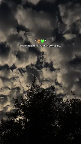 “Ez kuştum le roza..”🕊️🌹 #meralsimsekk1 #storylikşarkılar #storylikvideolar #fyppp 