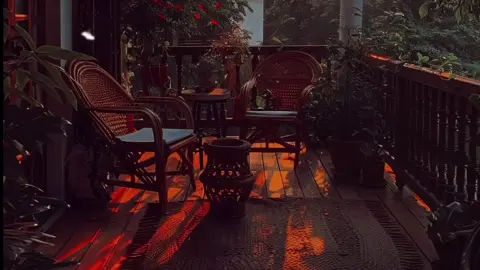 #يارب_ارحمنا_و_اغفر_لنا#يارب_فوضت_امري_اليك🕊️💚🤲🏻#صلي_على_النبي#الشيخ_كشك_رحمه_الله 