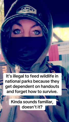 Some people forgot what work is I think! #handouts #survival #work #life #lazy 