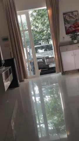 喵喵#炳发城 #金边 