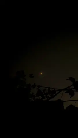 اُن لوگوں کو سنبھال کر رکھیں جن سے آپ نے مدد طلب کی اور انھوں نے دل پیش کر دیا۔ 