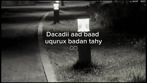 udir  #foryou #viral 