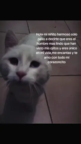 -Te amo muchoo mi chiquito🥹💗💖 #amoaminovio  #paradedicar  #paracompartir  #nodejenenflop😿️💓  #fypシ゚  @TikTok 
