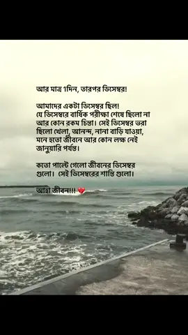 আর মাত্র একদিন তারপর ডিসেম্বর! আমাদের একটা ডিসেম্বর ছিল! যে ডিসেম্বরে বার্ষিক পরীক্ষা শেষে ছিল না আর কোনরকম চিন্তা। সেই ডিসেম্বরে ভরা ছিল খেলা আনন্দ মামার বাড়ি যাওয়া, মনে হতো জীবনে আর কোন লক্ষ্য নেই জানুয়ারি পর্যন্ত! কত পাল্টে গেল জীবনের ডিসেম্বর গুলো। সেই ডিসেম্বরের শান্তি গুলো। আহা জীবন.!!!🥺❤️‍🩹