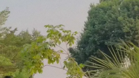 #نہ ظاہر ہوئی تُم سے،نہ بیاں ہوئی ہم سے🫠 > بس سُلجھی ہوئی آنکھوں میں اُلجھی رہی محبت🤌🏻 😢