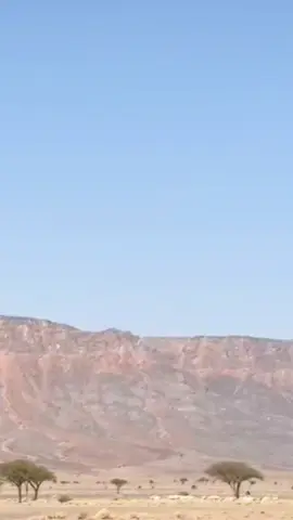 عن أبي هريرة رضي الله عنه عن النبي صل الله عليه وسلم قال مَن مَنَح مِنْيحَةً غَدَتْ بصَدَقَةٍ ، وراحَتْ بصدقةٍ ، صَبُوحِها وغَبُوقِها أخرجه مسلم #طريق السريع المدينة المنورة القصيم الرياض 