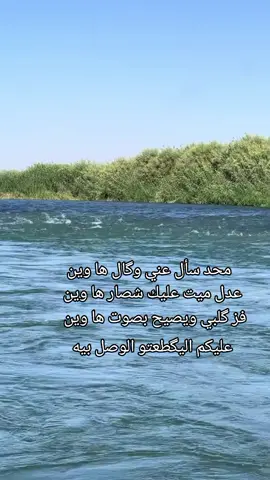 شعرةحزينہ♬🥺💔 #عتابه_حزينه #دارميات 