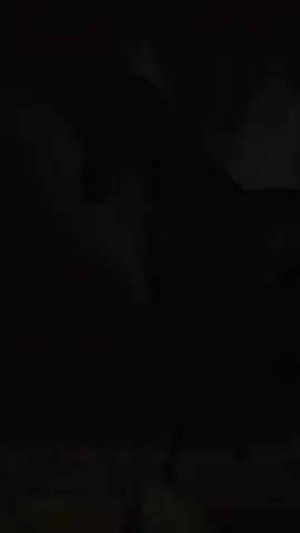 توقفت عند تلك الصفحة كثيرا، سوف أطويها وأكمل القراءة!