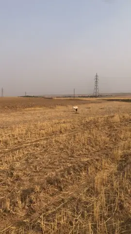 عەیبە کەس تاگمەکەن😂#ئەکتیڤبن🥀🖤ـہہـ٨ــہ #hedy_221 #ڕزگاری_کەلار #kurdistan #یەکتۆز_ئەکتیڤ_خۆپارەی_تێناچێ 