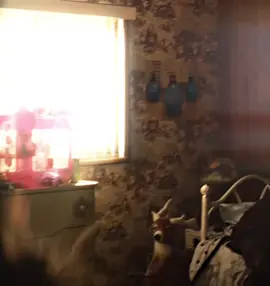 #ansiedadenaoebrincadeira  #tristerealidad 