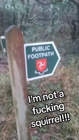 #wtf #ftp #public #stop #angry 🤬🐿️🦫🦦