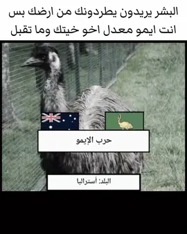 #ايمو #fyp #foryou #الشعب_الصيني_ماله_حل😂😂 #تصميم_فيديوهات🎶🎤🎬 