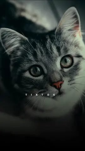 ما تخذلني 🥺💔🥀