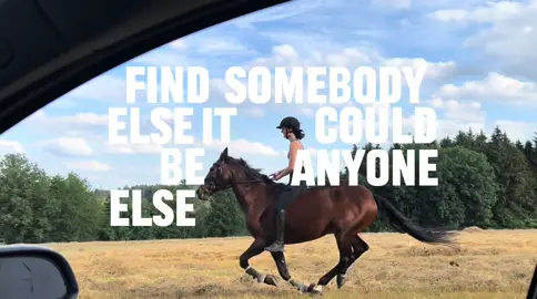 🤷🏼‍♀️ #fyp #viral #horse #CapCut 