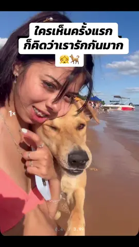 🐕 เที่ยวทะเลระวังหมา!!