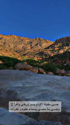 #شعر #مناظر_طبيعية #foryou #viral #fyp 