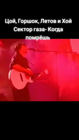 Кино Король и шут Гражданская оборона  Сектор газа #цой #секторгаза #capcut #летов #корольишут