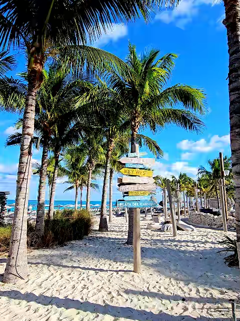 Esse é um hino esse pagode#pagode #pagoderomantico #status #musicasparastatus #foryou #romantico