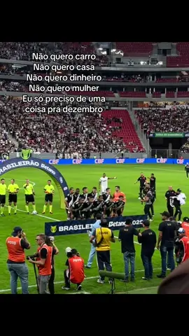 #fy #vascodagama #copadobrasil #forcajovemvasco #vasco 