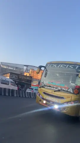 #gulmimuser❤#foryoupage #morningvibes #@Kamana Ac 4233 @DaWEeD? @Kamana Group Official🇳🇵 @Mahotsawa RB 