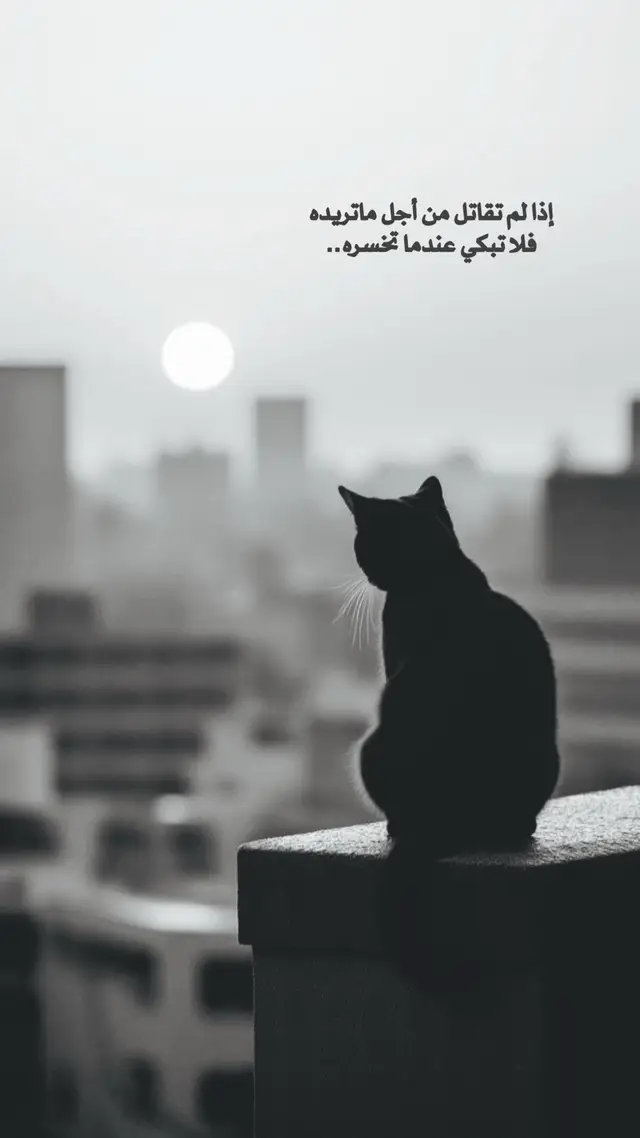 ✋🏻نعم ياصديقي #عباراتكم_الفخمه #اقتباسات-خواطر🖤🦋❤️ #قويه🖤 #تصميمي