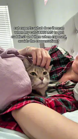 avoidant cattachment style or something like that? 