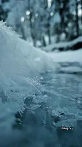 Le calme de l’hiver repose le cœur ❄️ #nature #hiver #foret #spiritualite #zen 