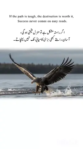 #AhadBarki #برکی #eaglepoetryvideo #motiavationalPoetry 