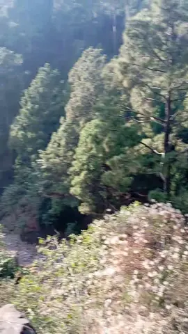 Best Place for #schooltrips Near Islamabad @Sangrela Natural Water Park 