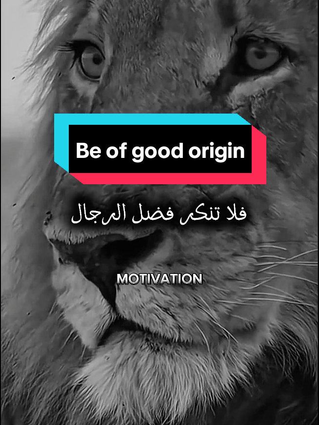 معرفتك للرجال كنوز فلا تنكر فضل الرجال حتى لا تظلمك الحياة فالرجال مواقف  Knowing men is a treasure, so do not deny their merit lest life wrong you, for men are defined by their actions #اقتباسات #حالات #motivation #fyp #viral 