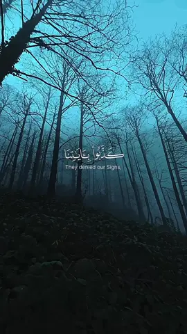 Surah Ali-Imran | Abdul Rahman Mossad  #allah #zeealquran  #القران_اکیریم #quran #islamic_video