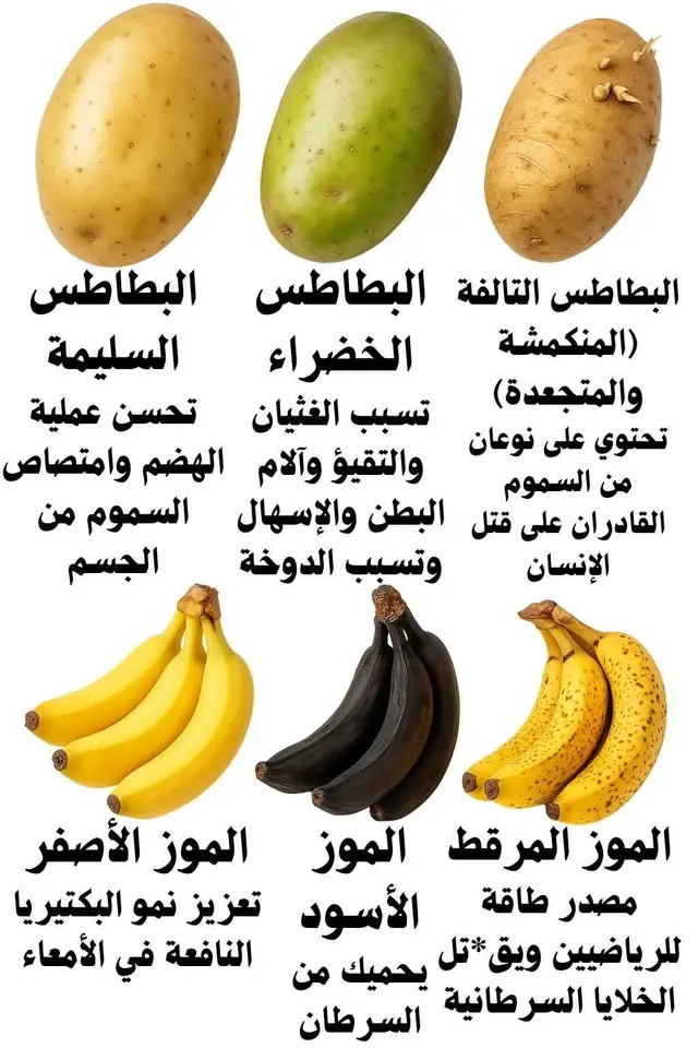 #معلومات  #مفيدة  #تك_توك  #اللهم_صلي_على_نبينا_محمد 