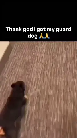 🥶🥶🤣#MLBB #MLBBFriendFest #MLBBxSpongeBobg #mlbbdostfest 