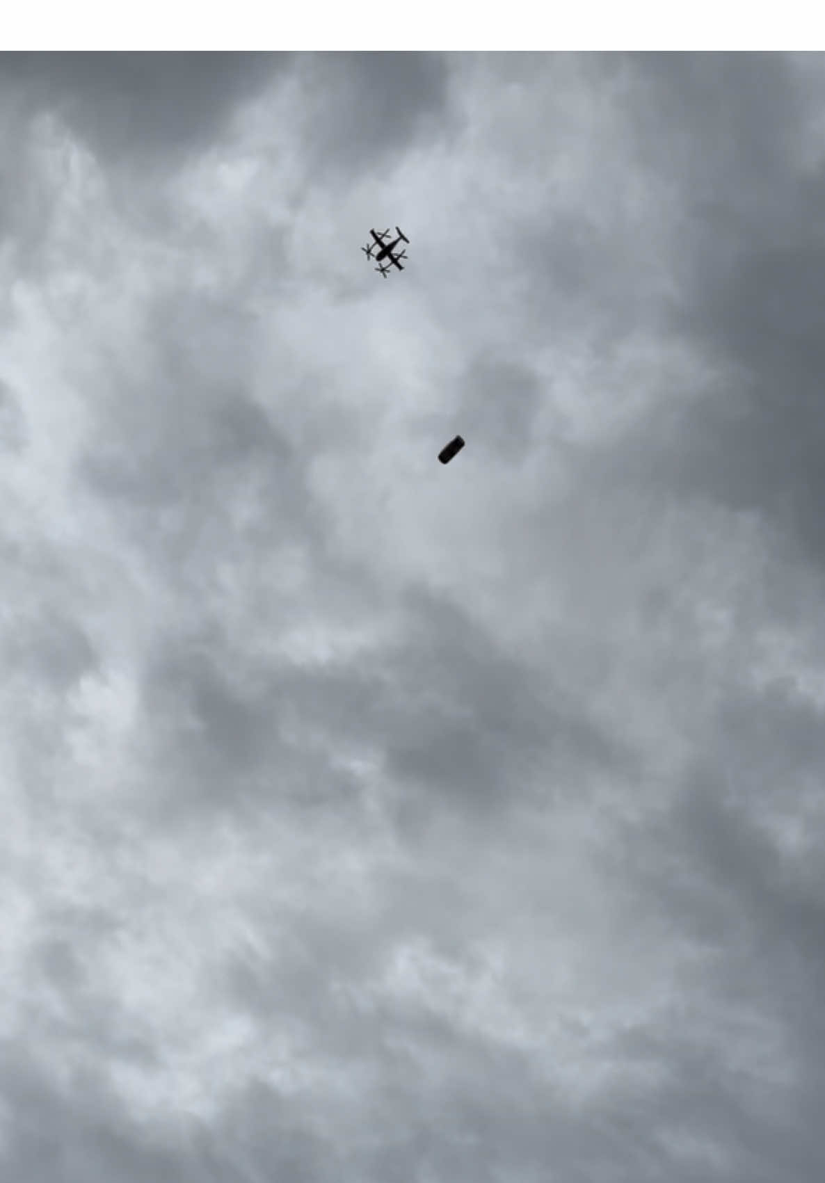 drone delivery ft. oreo😭 (s/o to my sister for the video lolll) #dronedelivery #ziplinedelivery #dronetiktok #huskylife 