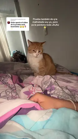 Respuesta a @️NaLexnu 