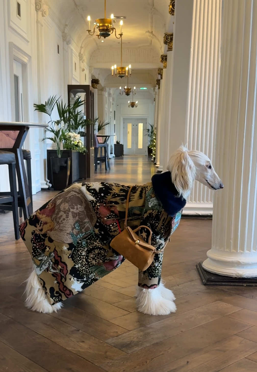 Felt inspired by Mary Poppin’s carpet bag (but only had a carpet coat) #AfghanHound #WinterCoat #InteriorDesign #Tapestry #WinterFashion 