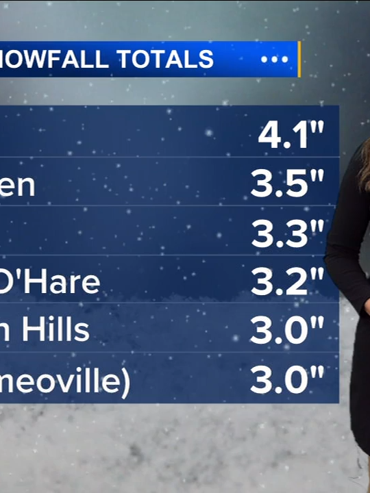 1PM UPDATE: A Winter Storm Warning is in effect for the Chicago area until 6 a.m. Sunday as several inches of snow are expected to drop in the next 24 hours.