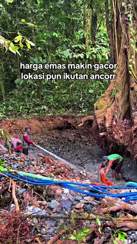 500mili hajar aja gyus🤣#tambangemas #anaktambang #tambang #fyppppppppppppppppppppppp #fyp 