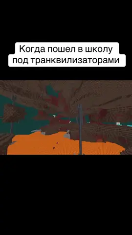 идея:не моя майнкрафт:немой  переходы:не мои видео:мое #лирика #майнкрафт 