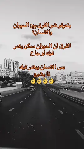 #في هذا اليوم 